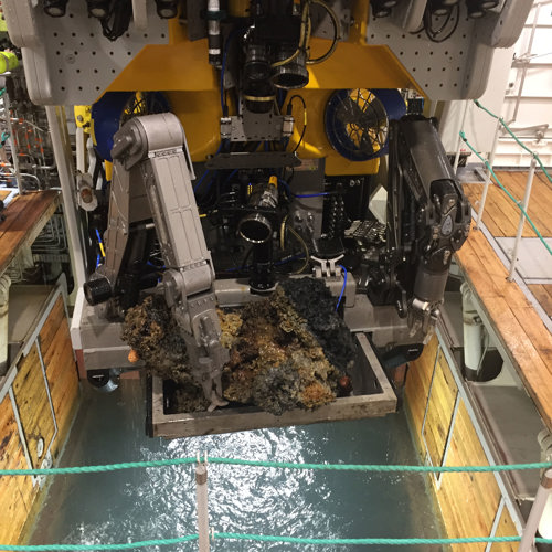 The ROV hanging over the moonpool whilst handling a sample collected from the seabed.