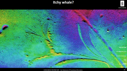 SAS image - is it an itchy whale?