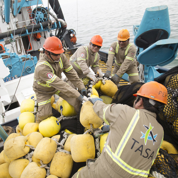 Four fishermen onboard the fishing vessel pulling up the yellow floaters of the fishing net.