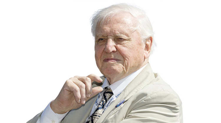 Screenshot 2019-03-19 at 21.43.16.png