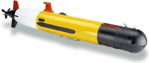  REMUS 100 AUV