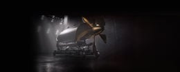 Picture of a elegance pods with a dark background