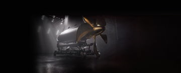 Picture of a elegance pods with a dark background 